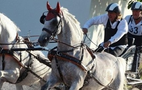 Honismereti kirándulás Domonyvölgybe, a Lázár Lovasparkba