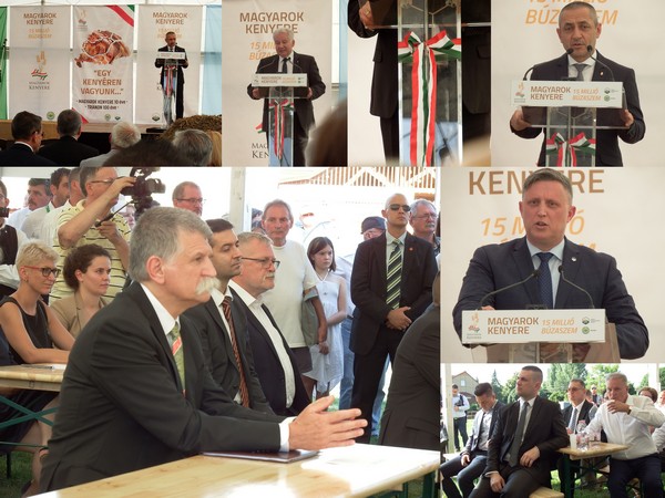Magyarok Kenyere – 15 millió búzaszem